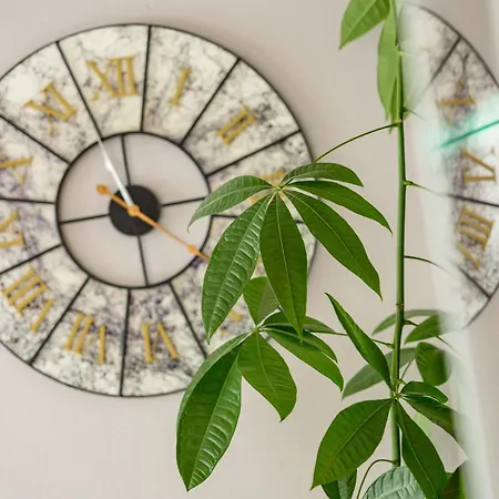 Stadt-chalet Schladming